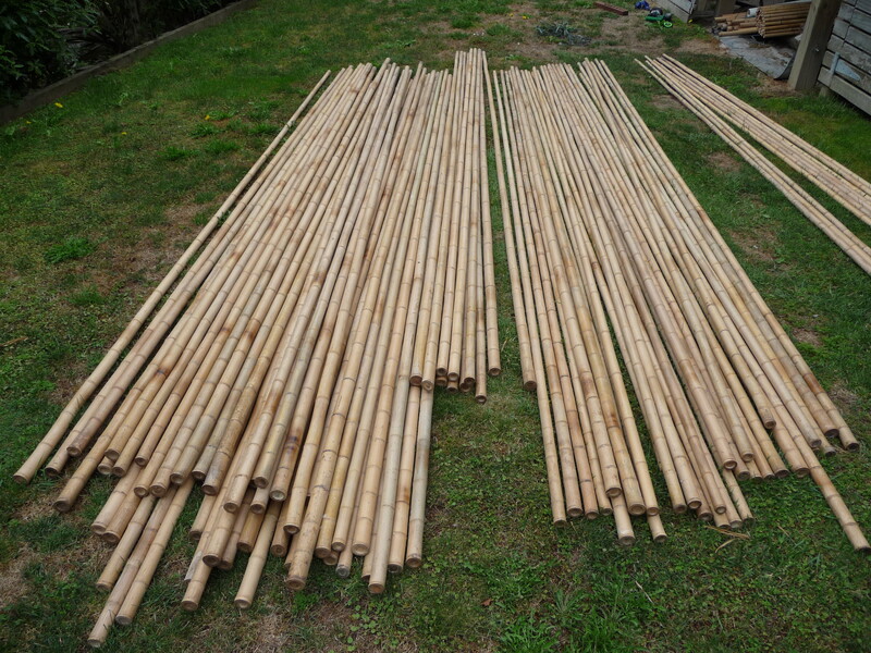 bamboo poles bamboo canes sticks Auckland Bambusero